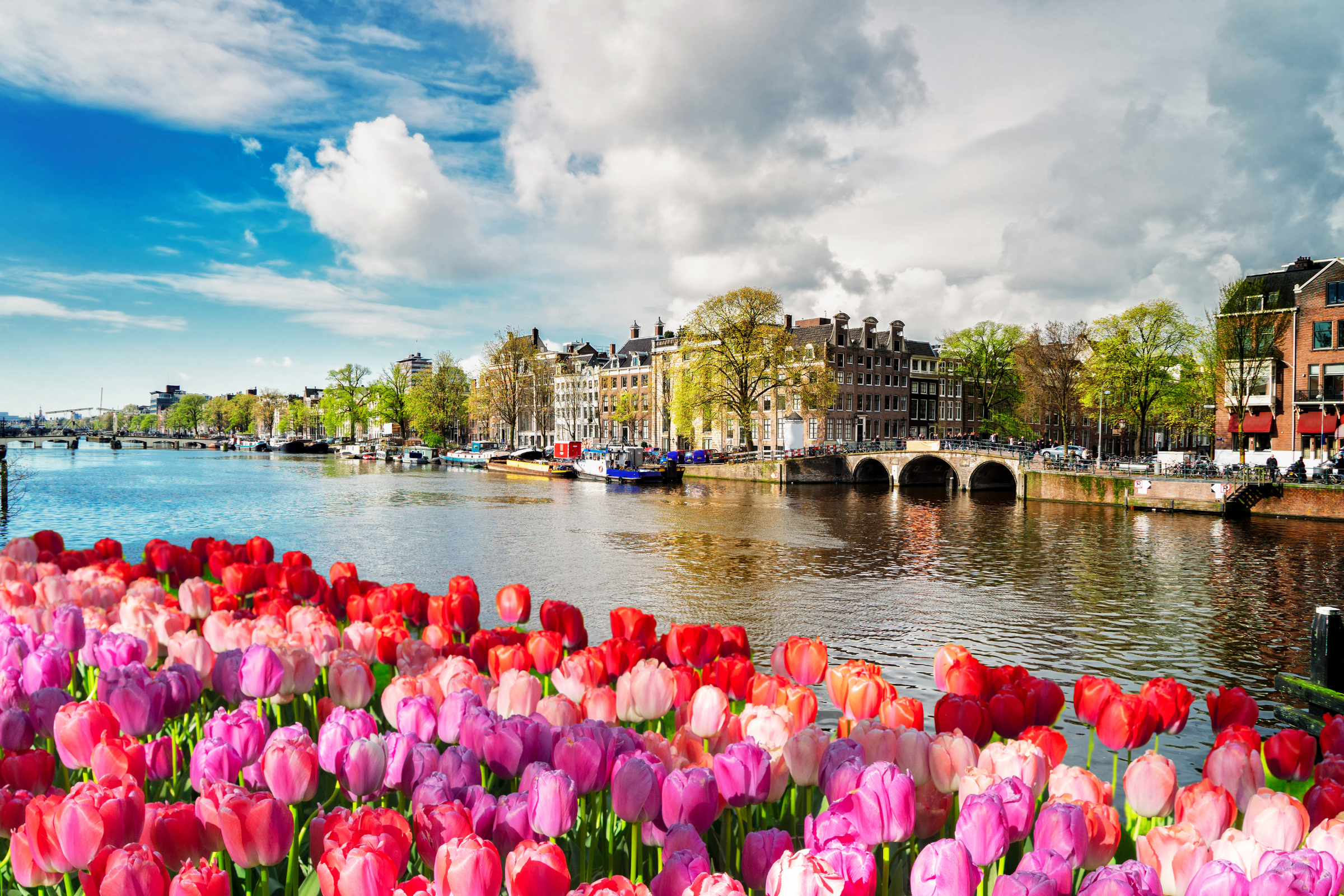 amsterdam island (3).webp